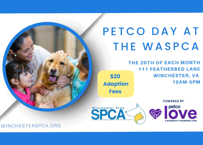 Petco adoption hot sale cost